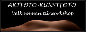 Kursinvit 300x113 AKTFOTO KUNSTFOTO